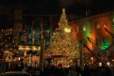 dior distillery christmas tree.